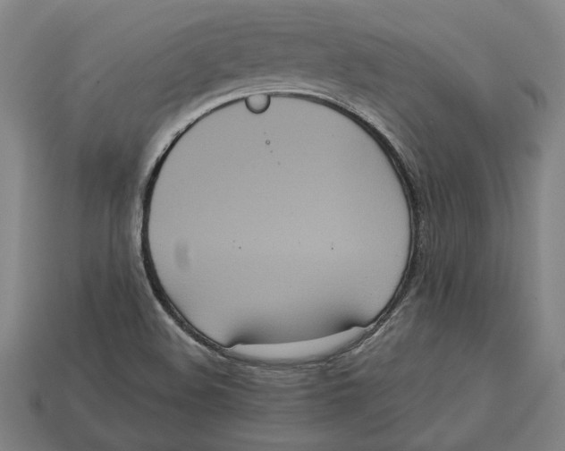 X0000113061508200909250858