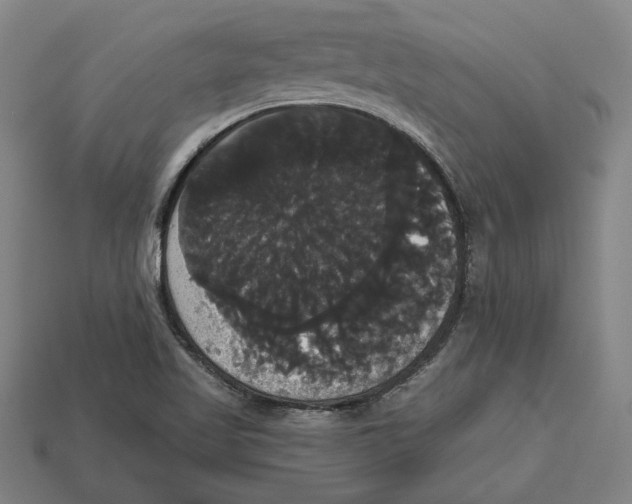 X0000113061509200909250858