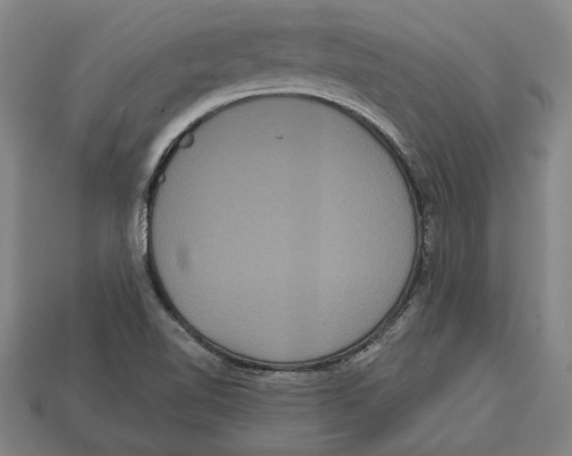 X0000113061510200909250858