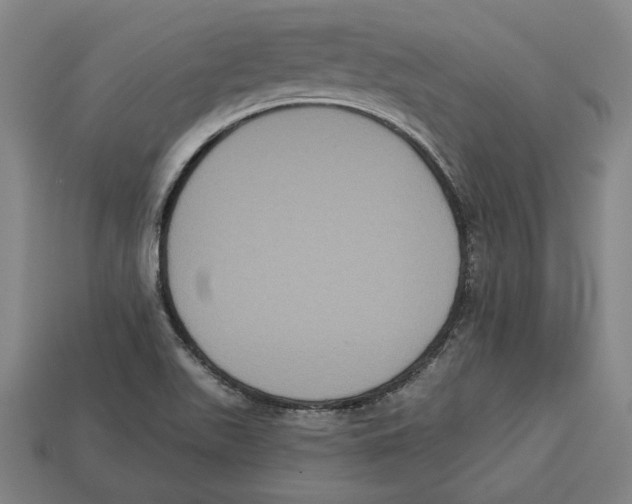 X0000113061511200909250858