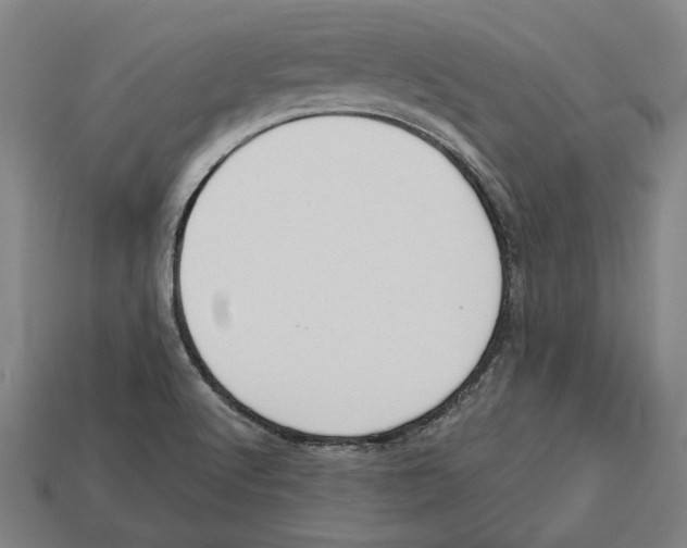 X0000113061512200909250858