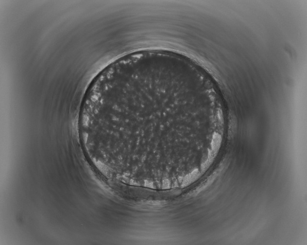 X0000113061513200909250858