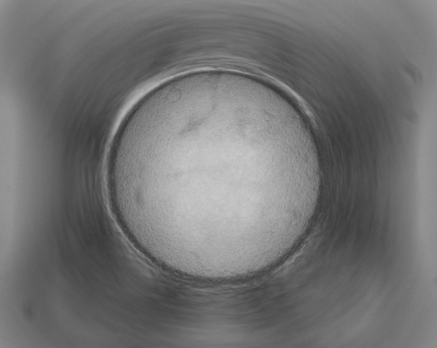 X0000113061514200909250858