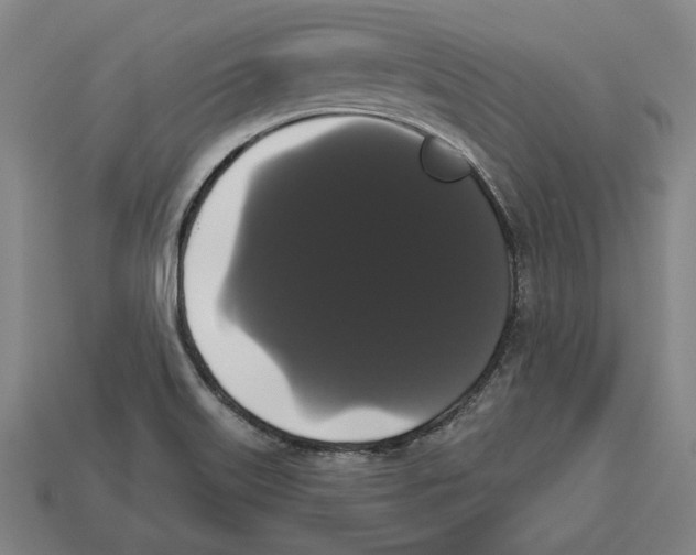 X0000113061515200909250858