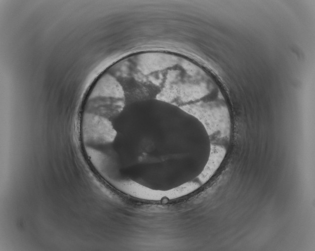 X0000113061517200909250858