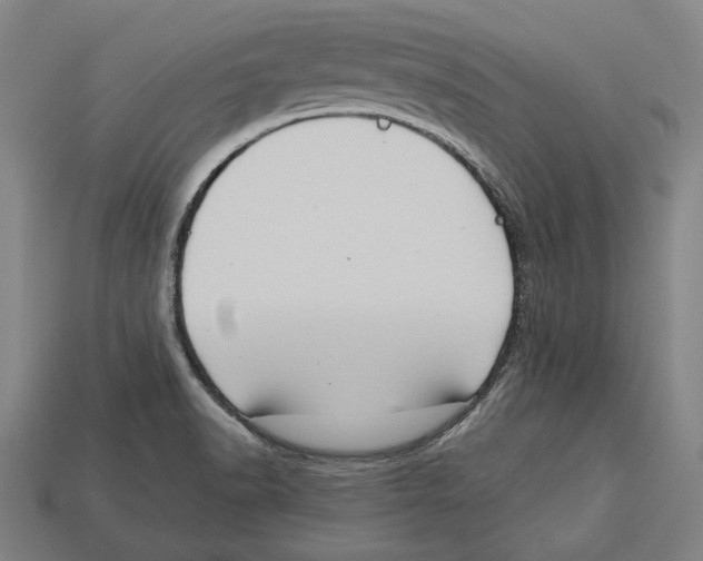 X0000113061518200909250858