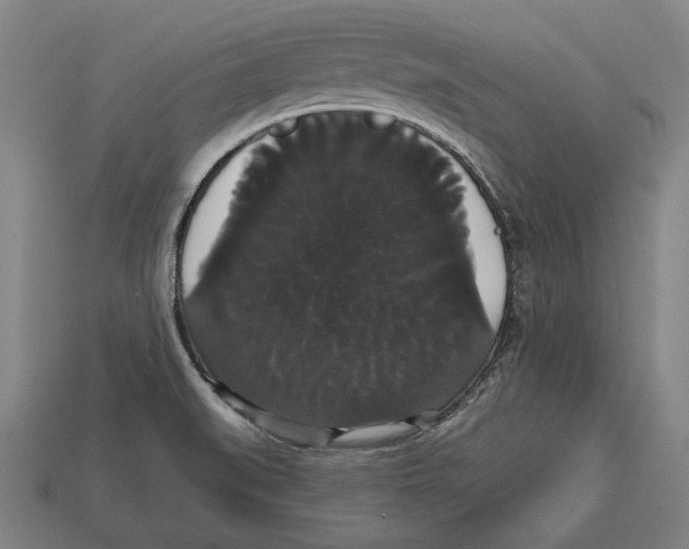 X0000113061519200909250858