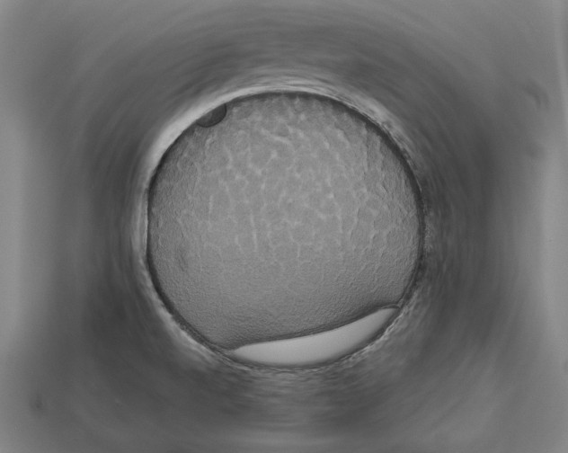 X0000113061520200909250858