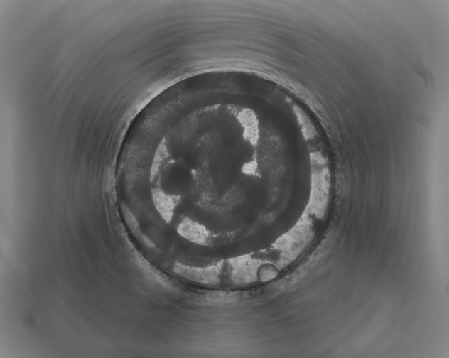 X0000113061521200909250858