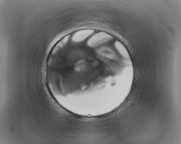 X0000113061522200909250858