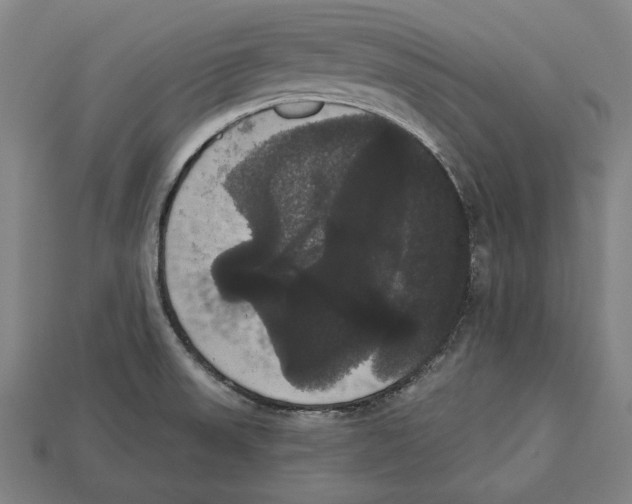 X0000113061523200909250858