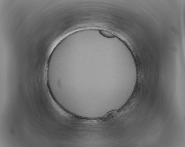 X0000113061524200909250858