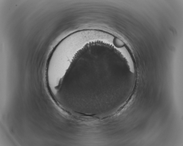 X0000113061525200909250858