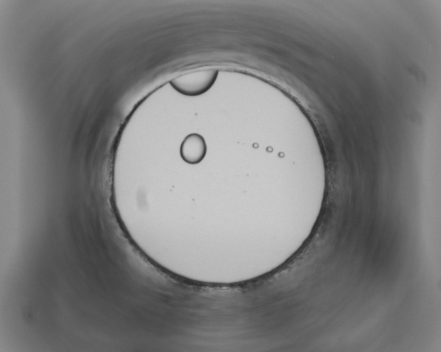 X0000113061526200909250858