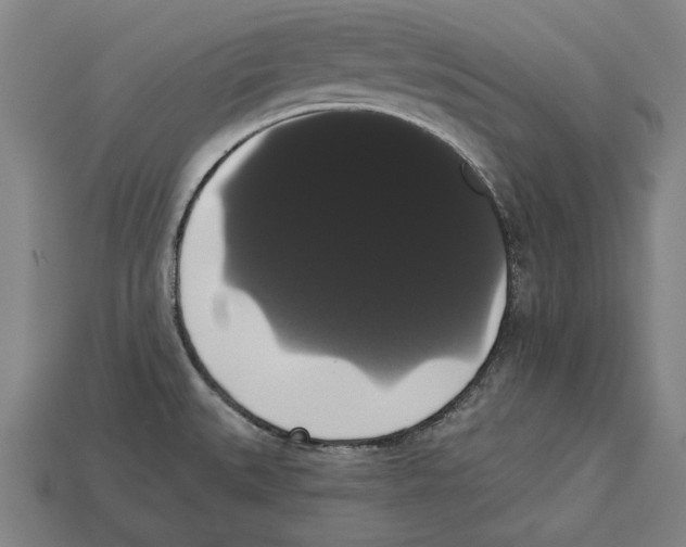 X0000113061527200909250858