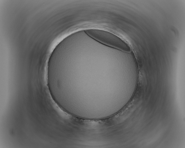 X0000113061528200909250858