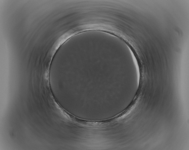 X0000113061529200909250858