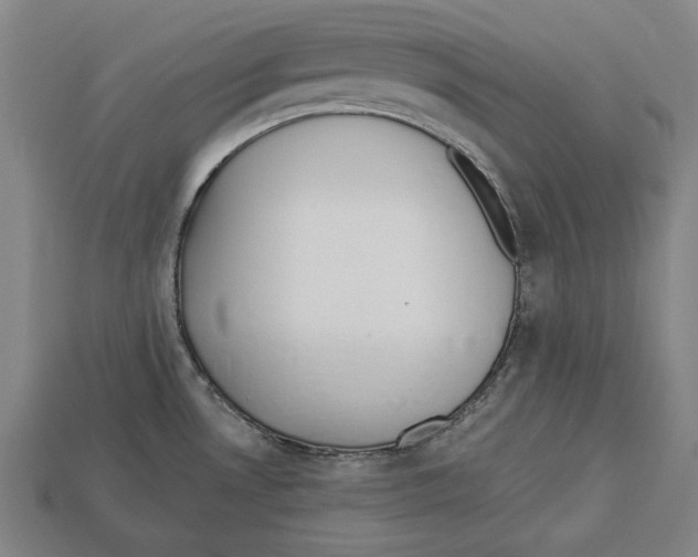 X0000113061530200909250858