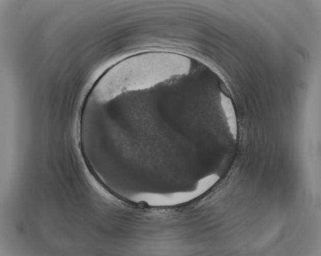 X0000113061531200909250858