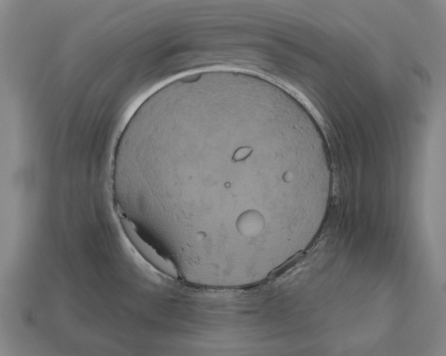 X0000113061532200909250858