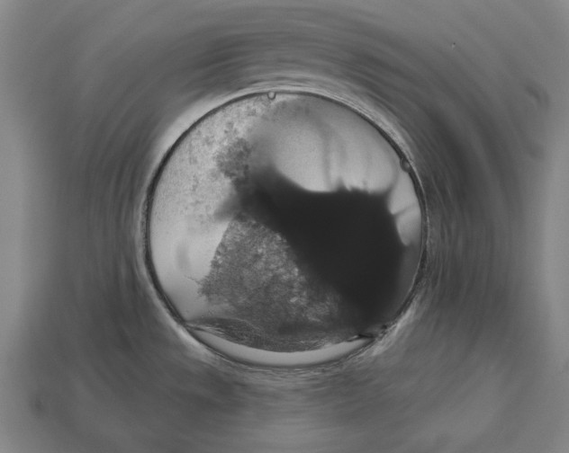 X0000113061533200909250858