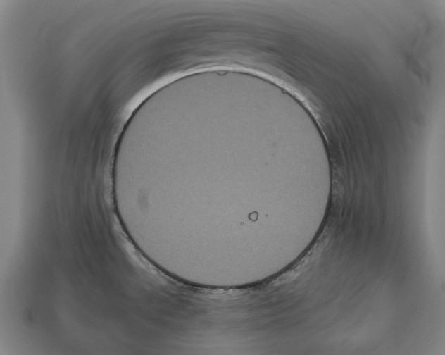 X0000113061534200909250858