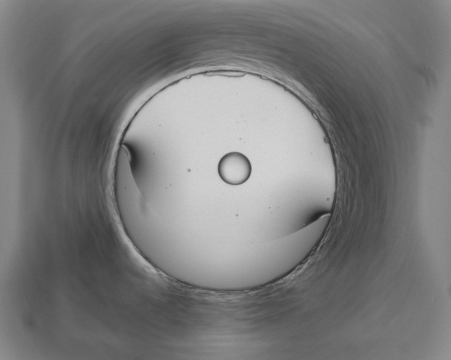 X0000113061536200909250858