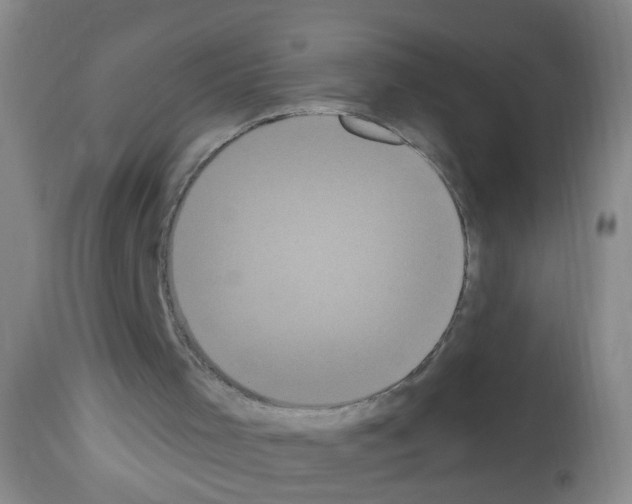 X0000113060001200910091154