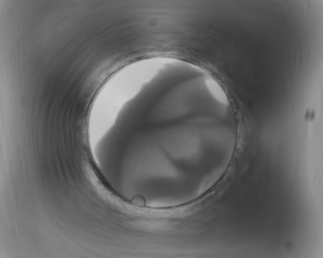 X0000113060002200910091154