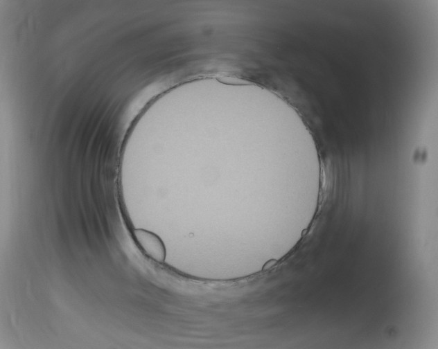 X0000113060003200910091154