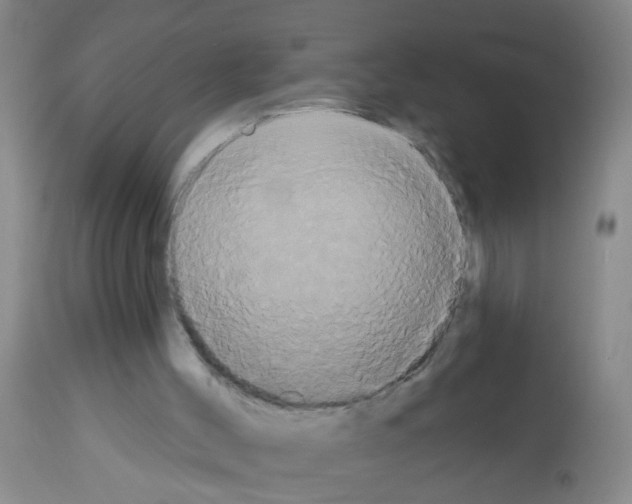 X0000113060004200910091154