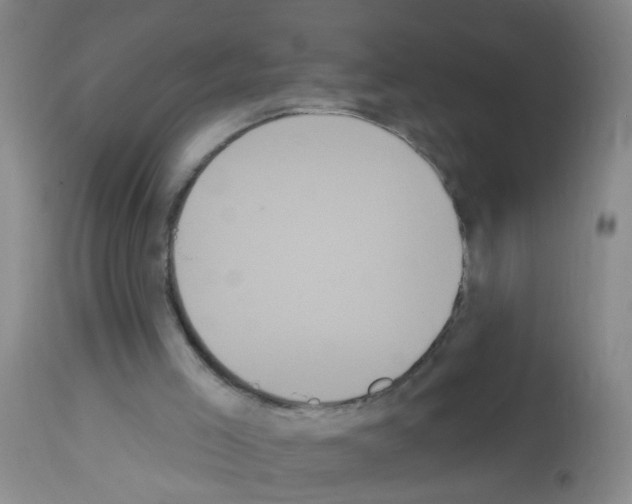 X0000113060005200910091154