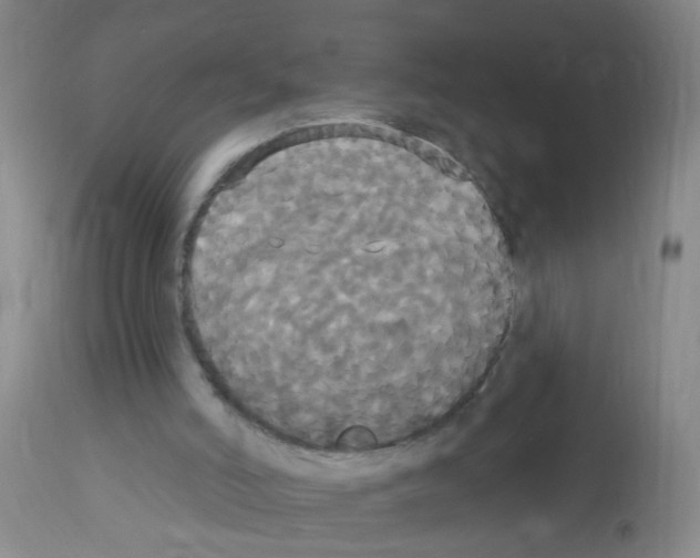 X0000113060006200910091154