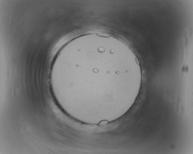 X0000113060007200910091154