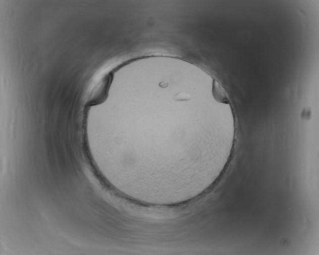 X0000113060008200910091154