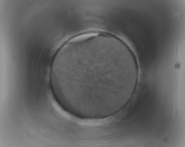 X0000113060009200910091154