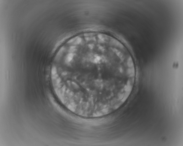 X0000113060010200910091154
