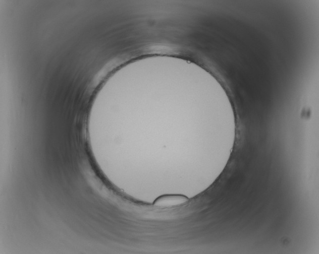 X0000113060011200910091154