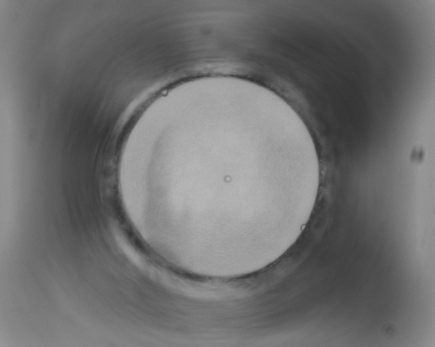 X0000113060012200910091154