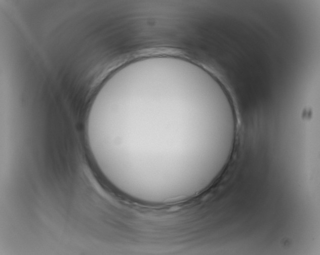 X0000113060013200910091154