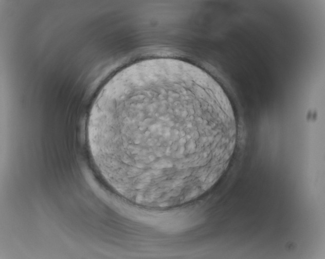 X0000113060014200910091154
