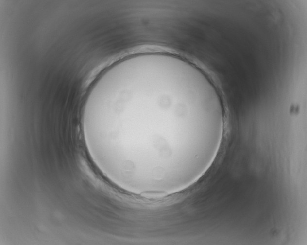 X0000113060015200910091154