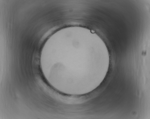 X0000113060016200910091154