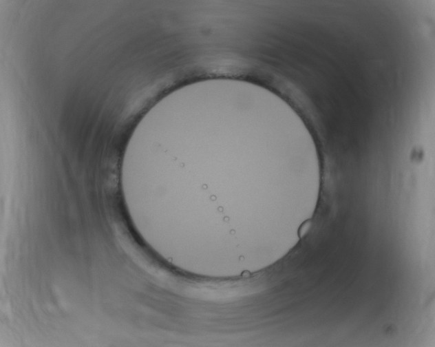 X0000113060017200910091154