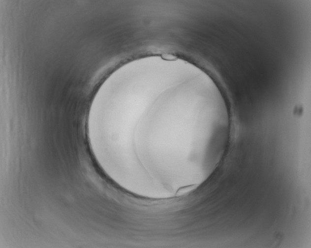 X0000113060019200910091154