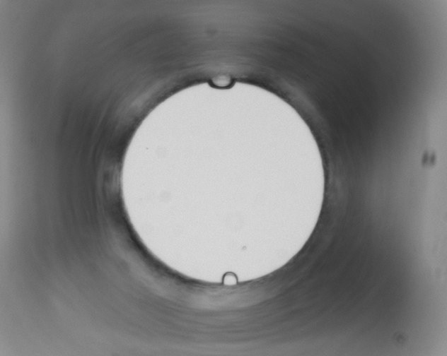 X0000113060021200910091154