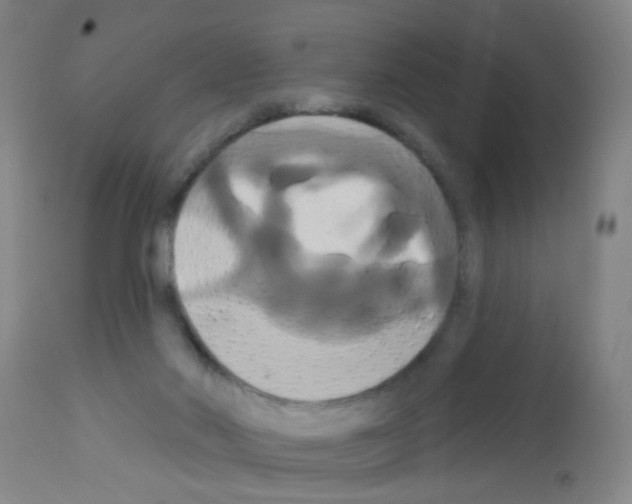 X0000113060022200910091154
