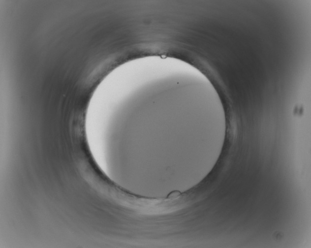 X0000113060023200910091154
