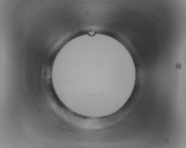 X0000113060024200910091154