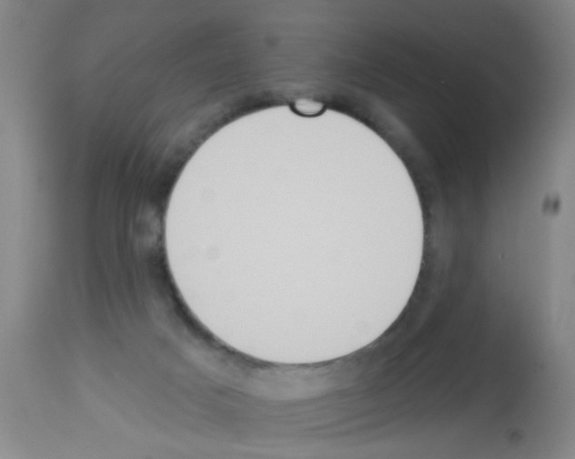 X0000113060025200910091154